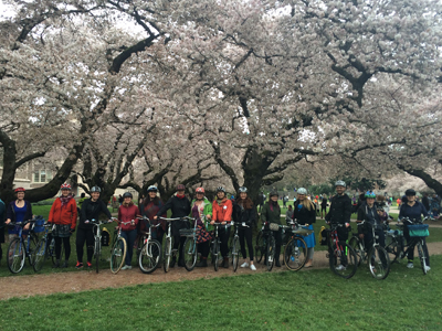 bike rentals & tours